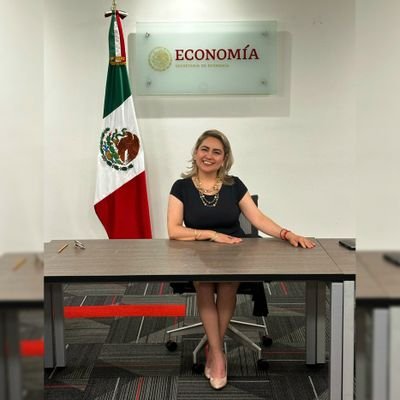 Titular del Sector de Energía ⚡️Industria del Mueble y del Juguete. 🧸🪑 Secretaría de Economía 🇲🇽