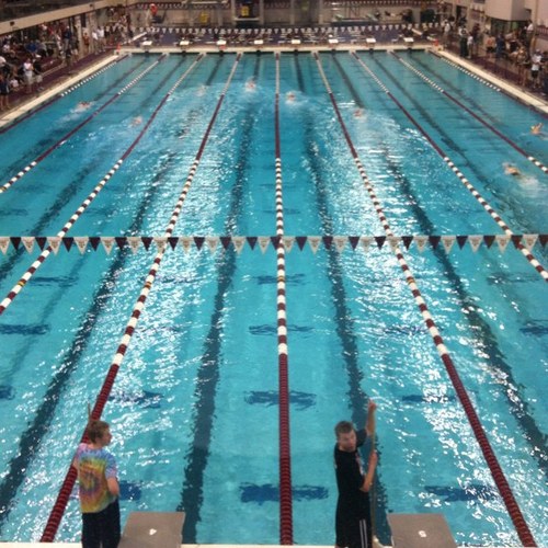 SwimmingIsHard's profile picture. 