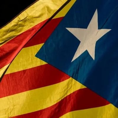 jofesan's profile picture. Sionista i Berguedà, antiwoke.
Volíem ser la Dinamarca del sud i ens hem convertit en el Marroc del nord.
 #salvemCatalunya