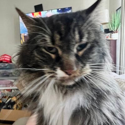 1Chemat's profile picture. 