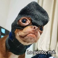 Dirttydogue (@dirttydogue) 's Twitter Profile Photo Dirttydogue (@dirttydogue) 's Twitter Profile Photo
