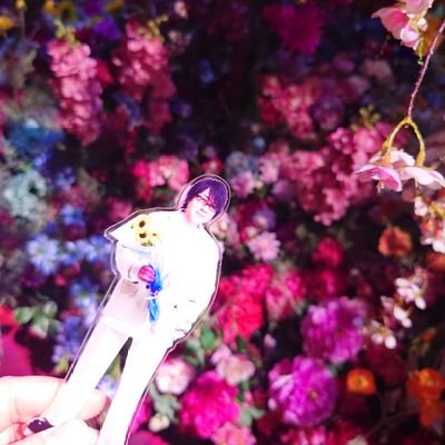 社 白露さんのプロフィール画像