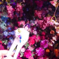 社 白露 (@iroha_yue) 's Twitter Profile Photo