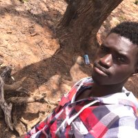 Bubacarr (@bubacarr809) 's Twitter Profile