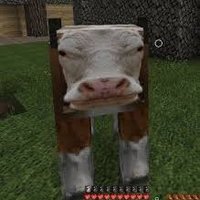 Igneox_GM (@igneox_gm) 's Twitter Profile
