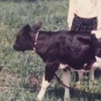 こばやし (@5884_hnty) 's Twitter Profile