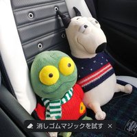 ももここ (@pikapikapika124) 's Twitter Profile