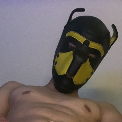 Perro Crespo Profile