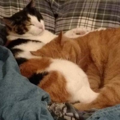 Heidie3Hill's profile picture. if you are a Liberal or animal/global activist/pronoun user piss off