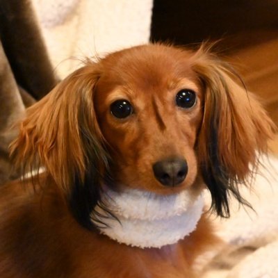 t_fu_30138's profile picture. 