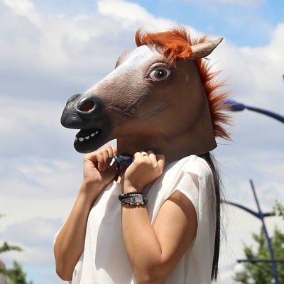 little_ponyhair's profile picture. 