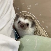 μΉ ππΛβ (@rasamango) 's Twitter Profile