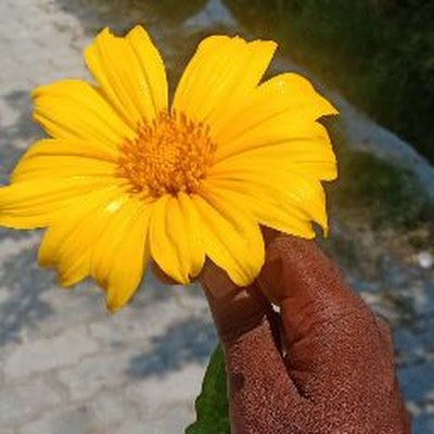 vel_6393's profile picture. 