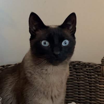 heycourtcameron's profile picture. 