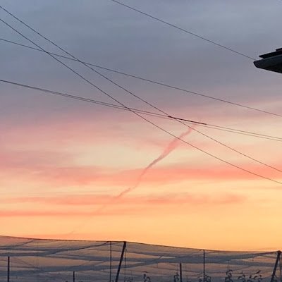 NobuYonei's profile picture. 