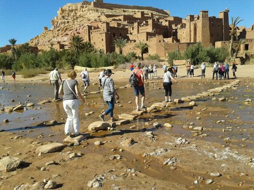 B_daling's profile picture. 