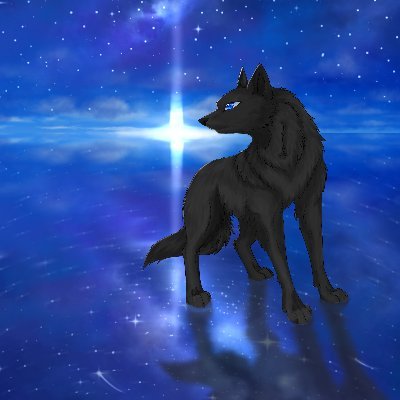 スカイライトさんのプロフィール画像