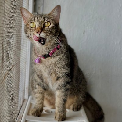 santiadian2025's profile picture. 