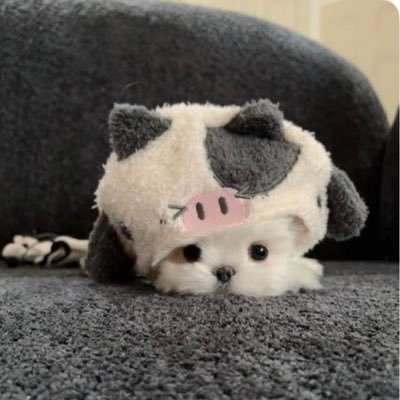 fktkun's profile picture. 