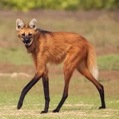 ayine_atule's profile picture. Creative writer • Software Engineer • Order my published Novel: https://t.co/JyGJbXBmya