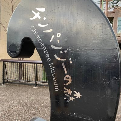 APEX_kz's profile picture. FF14/APEX/EFT/LoL 全部まったり何となくプレイしてるだけです