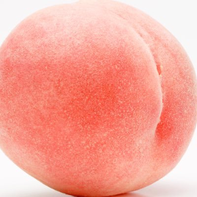 _pecheri's profile picture. 成人済/舞台/俳優/TRPG始めました