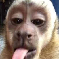 Valenngeno's profile picture. I don't know who the hell you are messing with