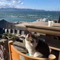 いまらい (@parutotomoni) 's Twitter Profile Photo いまらい (@parutotomoni) 's Twitter Profile Photo