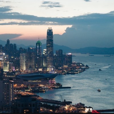 midlevelstrader's profile picture. 