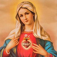 MotherMary (@mothermary0012) 's Twitter Profile Photo MotherMary (@mothermary0012) 's Twitter Profile Photo
