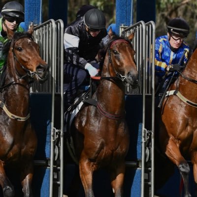 Racing Nerd * Punting Tragic * Trial Student * Horse Lover * Diehard Bombers Supporter *