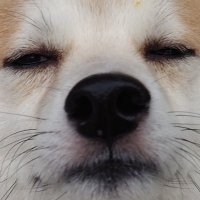 b ⊹ (@creatur_es) 's Twitter Profile Photo b ⊹ (@creatur_es) 's Twitter Profile Photo