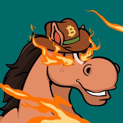 huohuo9582's profile picture. 金钱永不眠！