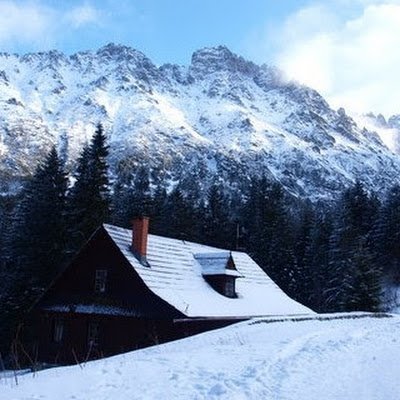 PGuto70935's profile picture. 