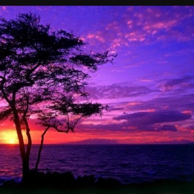 adam99516716261's profile picture. ༆Life is a cruel joke ...