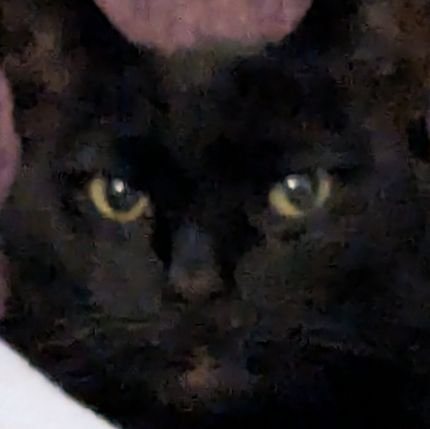 Br3BreAteIt's profile picture. on some rs, idgaf ❤️