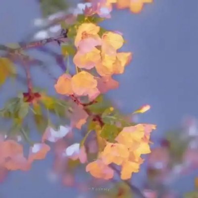 DawnLowe141039's profile picture. 