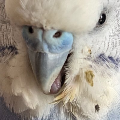 OREOOICHII's profile picture. AN OSSAN IN KANSAI