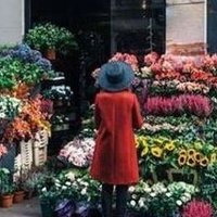 Tegair (@tegaird9f) 's Twitter Profile