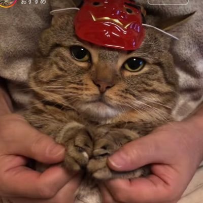 岩手→福島 行バレ