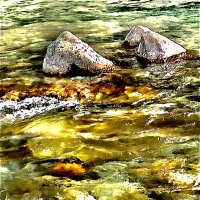 南愚鳩川第七高校 注釈部 (@chushaku_sg7) 's Twitter Profile