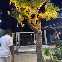 Donell D. (@1llenod) 's Twitter Profile