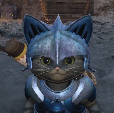 そらねこ🐈さんのプロフィール画像