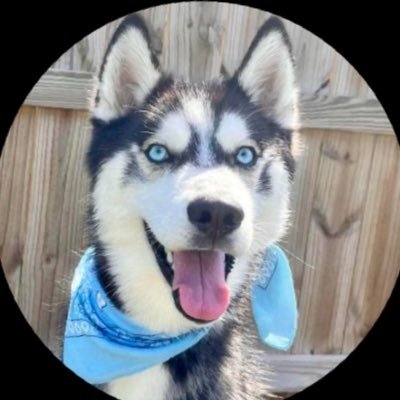 10+ Year Options Trader | Creator of BT Cloud on TradingView | Not a Financial Advisor