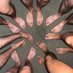 Just Feet (@just___feet) Twitter profile photo Just Feet (@just___feet) Twitter profile photo
