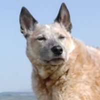 Hypnotech (@eklampor) 's Twitter Profile