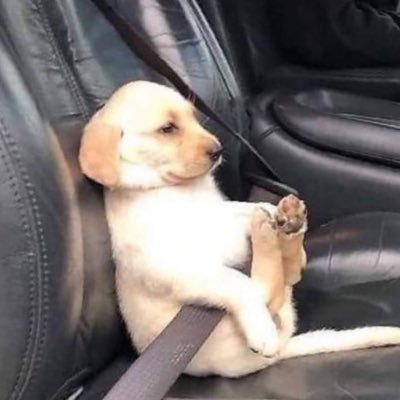 Longppplll's profile picture. 1 Doge=1 happy