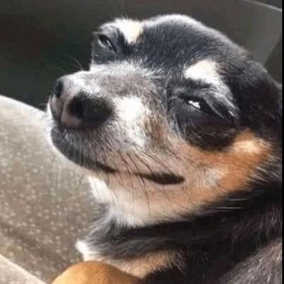 KanishK52611055's profile picture. 