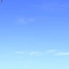 ULSJtDwi5M34597's profile picture. くあせふじこ