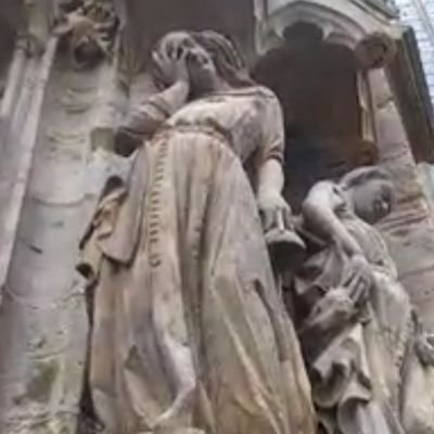 zsuzsi_kantor's profile picture. 🦊 kis vuk PhD élete